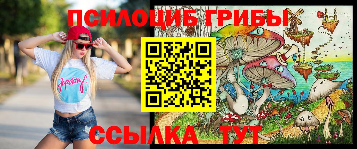 Галлюциногенные грибы Psilocybe  Вход с VPN  Камень-на-Оби 